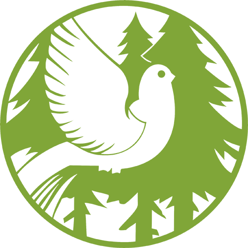 logo_kataskinoshs_500x500